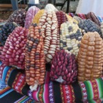 Gestion de la collection et la colonne à air